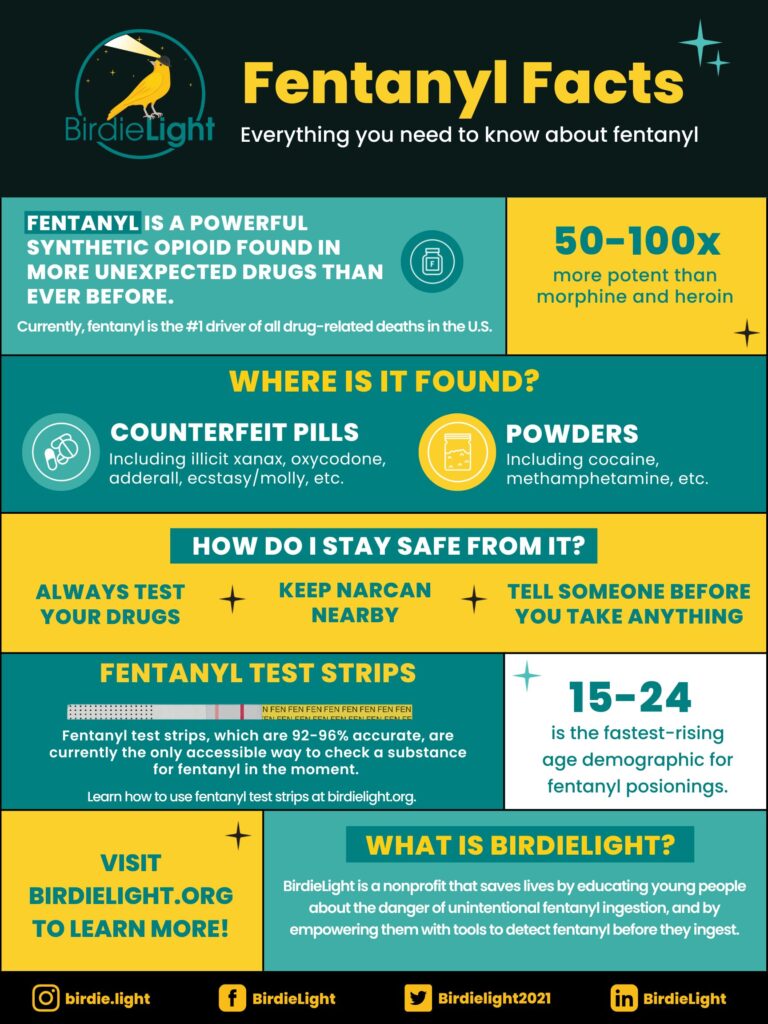 BirdieLight Basic Info School Poster 2023