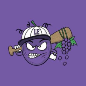 $12 Fundraiser Ticket - BirdieLight Night with the Lake Erie Crushers (Aug 28)